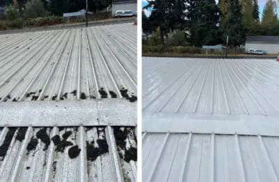 Expert & affordable moss and mold removal in Snohomish & North King Counties. Eco-friendly, pet and child-safe cleaning with no mess left behind. 