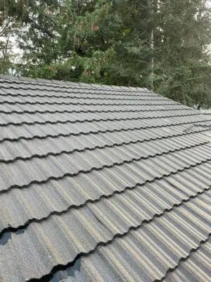 Full-service, affordable roof cleaning throughout Snohomish and North King Counties. Eco-friendly, pet and child-safe cleaning with no mess left behind. 